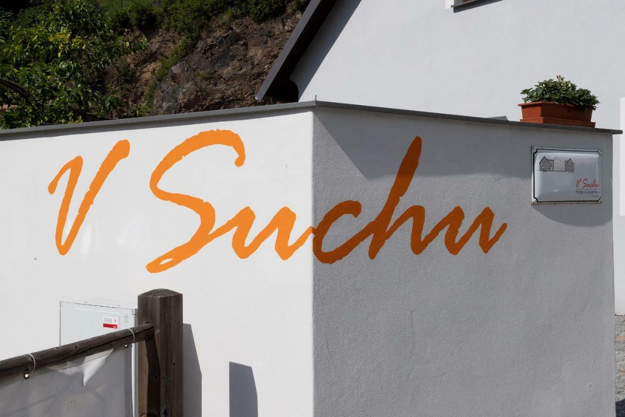 Penzion V Suchu Český Krumlov Εξωτερικό φωτογραφία